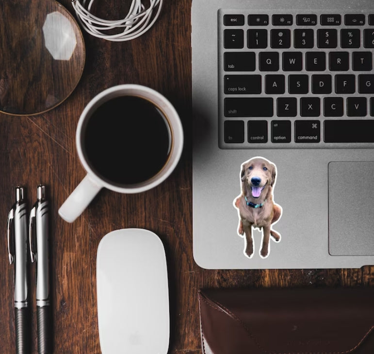 Customized outline stickers · Clear edges without lifting · Essential for pets, profile pictures, DIY handicrafts, and journal decoration