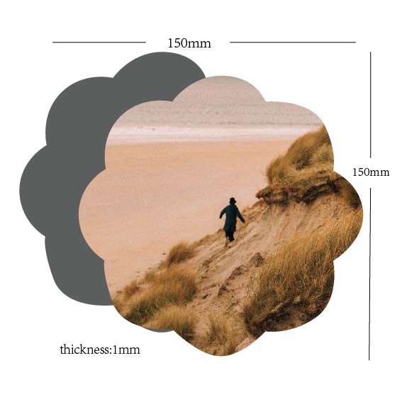 Medium fridge magnets · High-appearance-level fridge magnets · Customized photos · Memento magnets