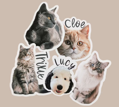 Customized outline stickers · Clear edges without lifting · Essential for pets, profile pictures, DIY handicrafts, and journal decoration