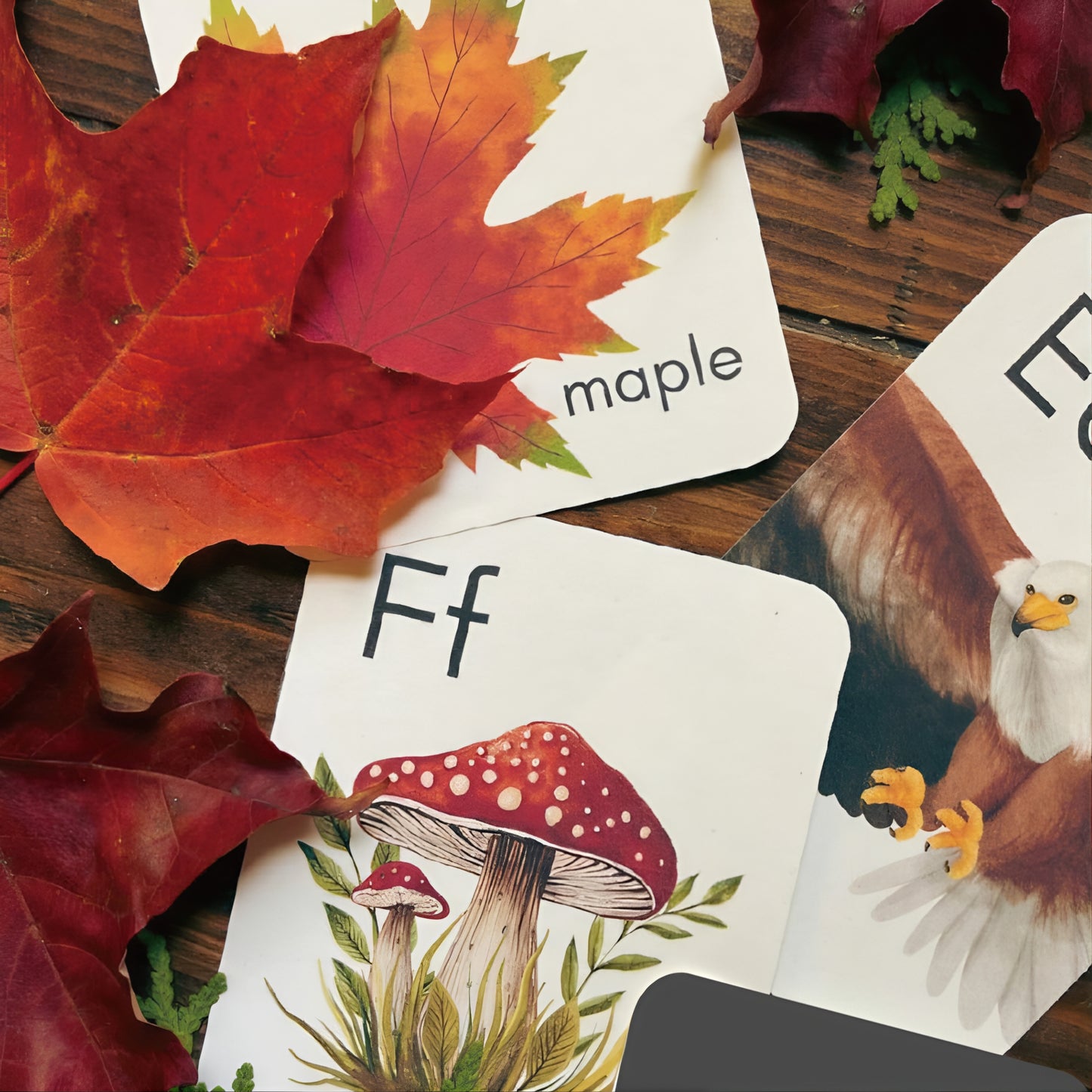 9.5cm*5.5cm Customized magnetic cards · Can be attached to blackboards · Children's education cards